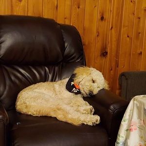 Meet your Posher, Eric